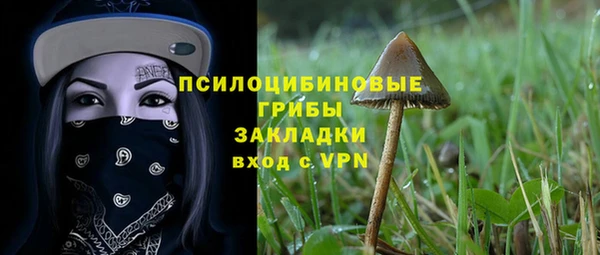 меф Дмитров