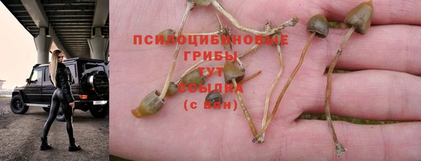 Альфа ПВП Дмитриев