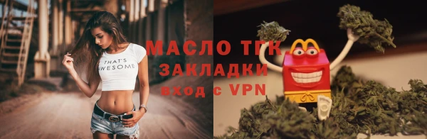 тгк Дмитровск