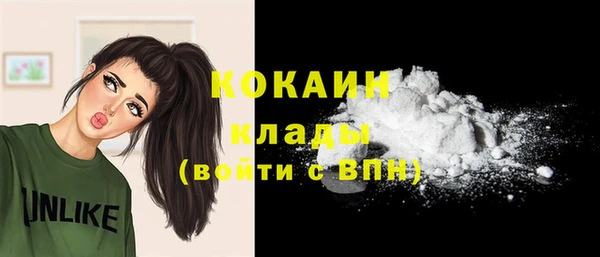 Альфа ПВП Дмитриев