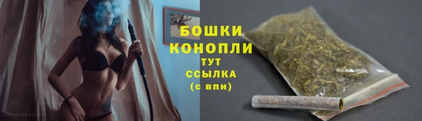 тгк Дмитровск