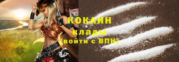 тгк Дмитровск