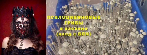 Альфа ПВП Дмитриев