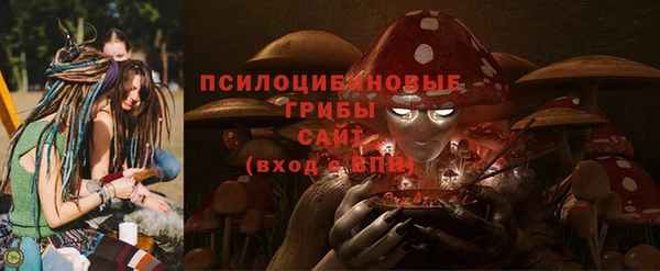 тгк Дмитровск