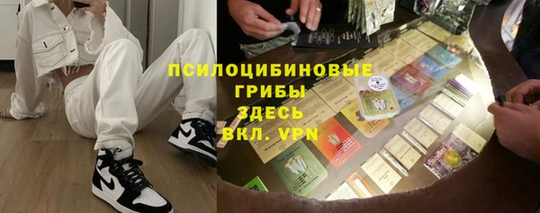 тгк Дмитровск