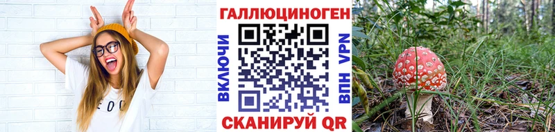 Купить  Рязань  Галлюциногенные грибы ЛСД 