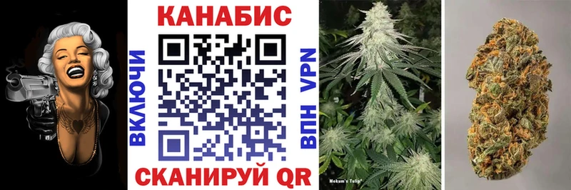 Купить  Рязань  Канабис OG Kush 